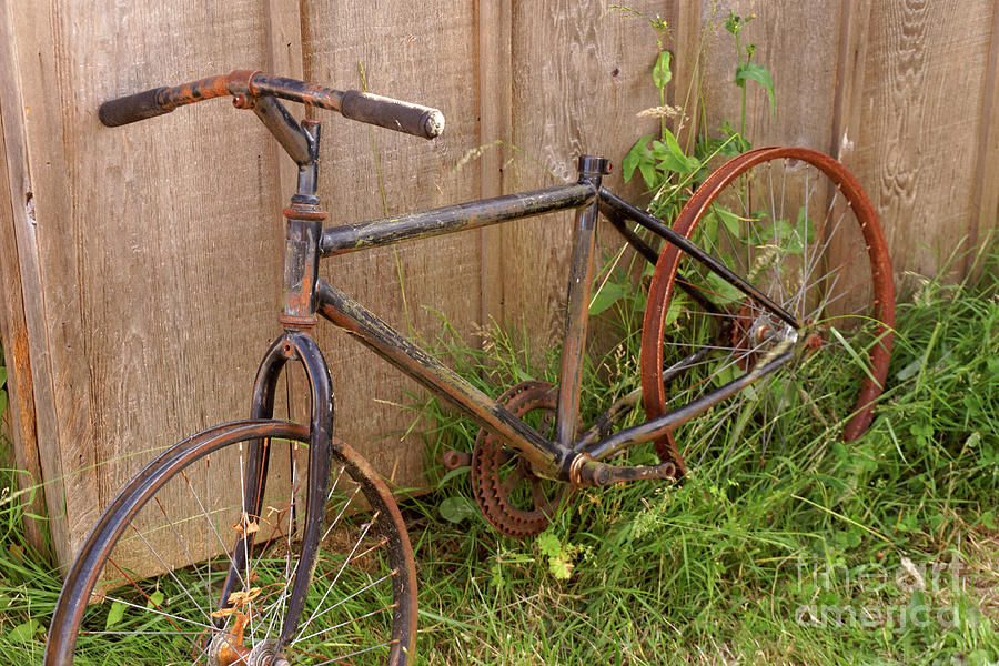 old rusted bicycle for sale