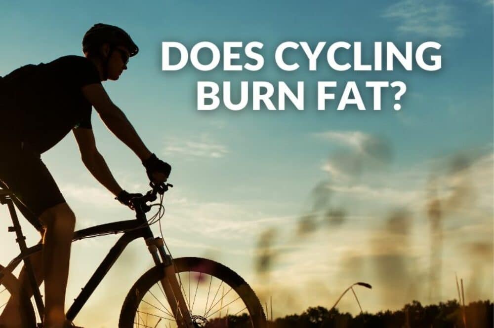 Can Cycling Reduce Thigh and Belly Fat? (Analysis)