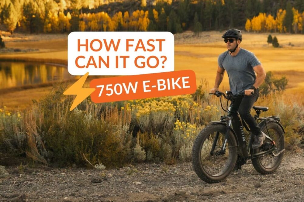 750W e-bike