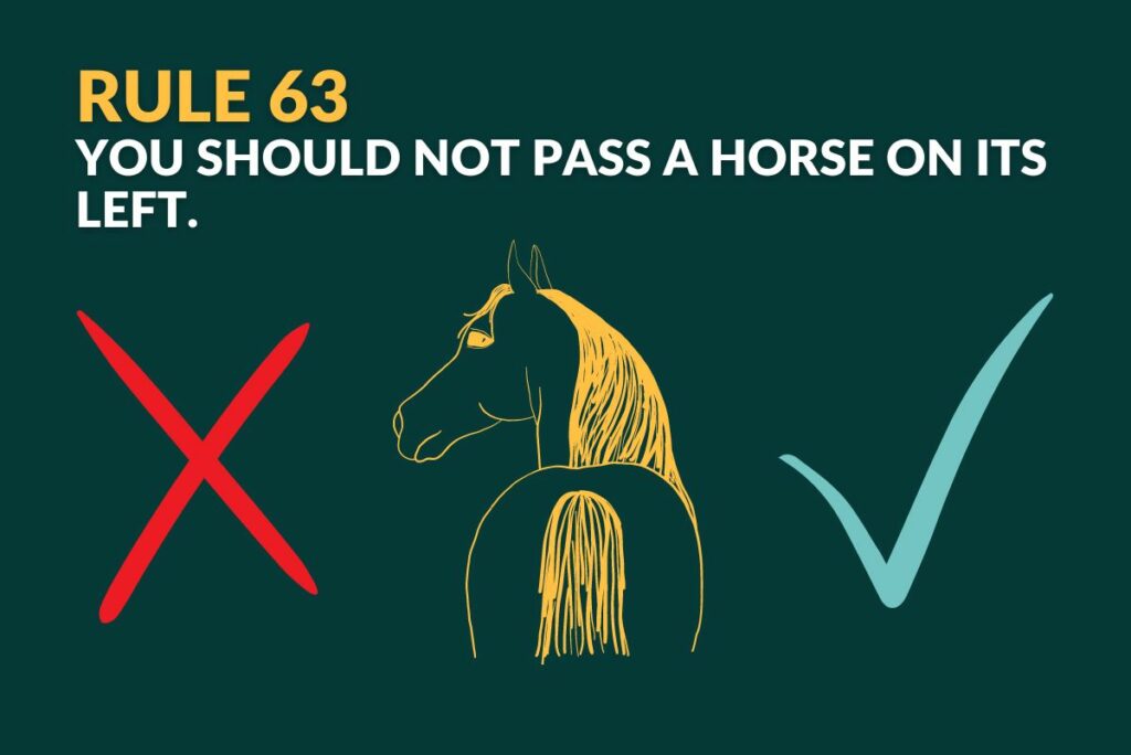 You should not pass a horse on its left