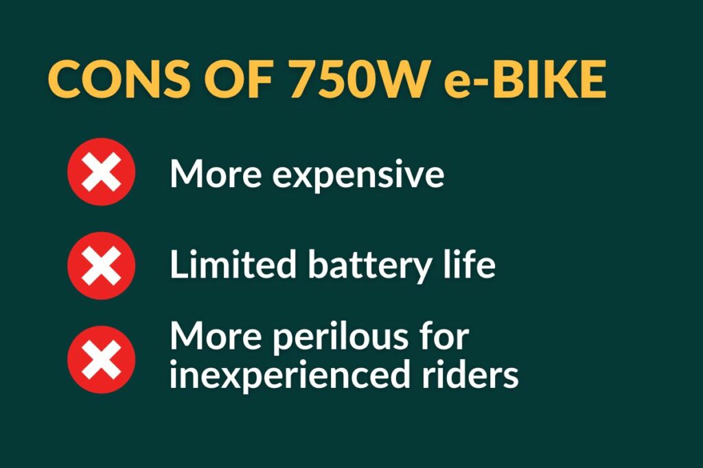 750W E-Bikes