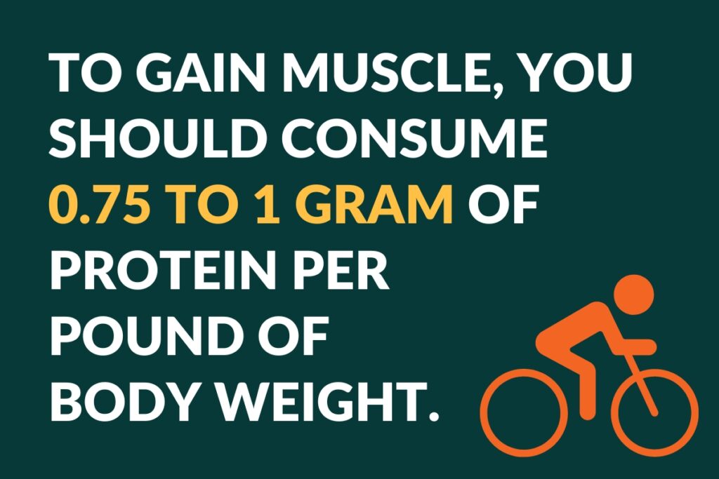 to gain muscle, you should consume 0.75 to 1 gram of protein per pound of body weight