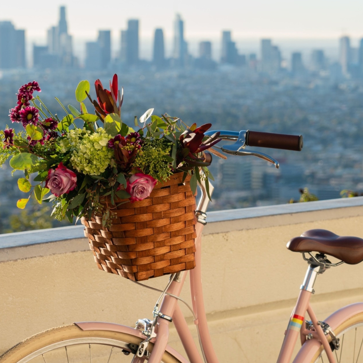Bike basket with flowers on balcony overlooking a city