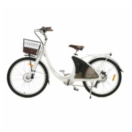 Ecotric Electric City Bike