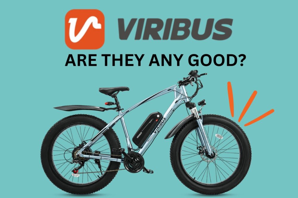 Viribus Bicycle with logo