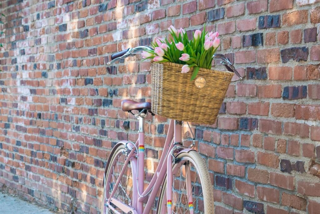 A wicker basket with tulips on a pink bicycle against a brick wall.