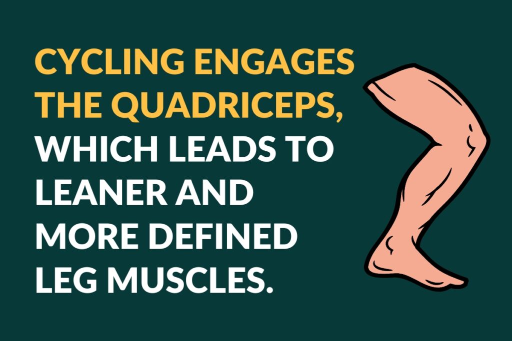 cycling engages the quadriceps which leads to leaner and more defined leg muscles
