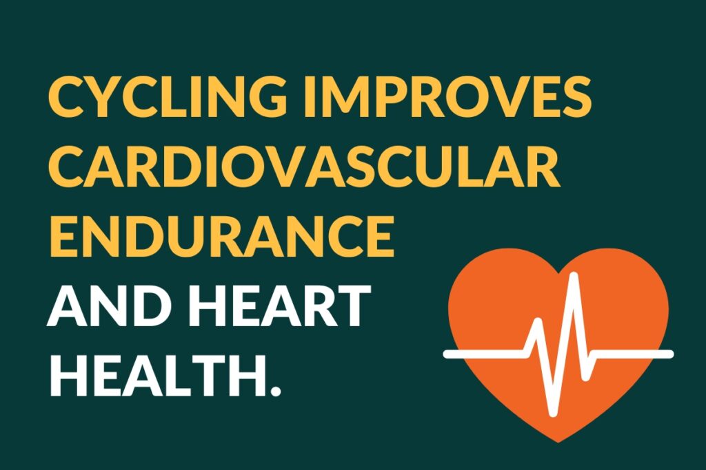 cycling improves cardiova﻿scular endurance 
and heart health.