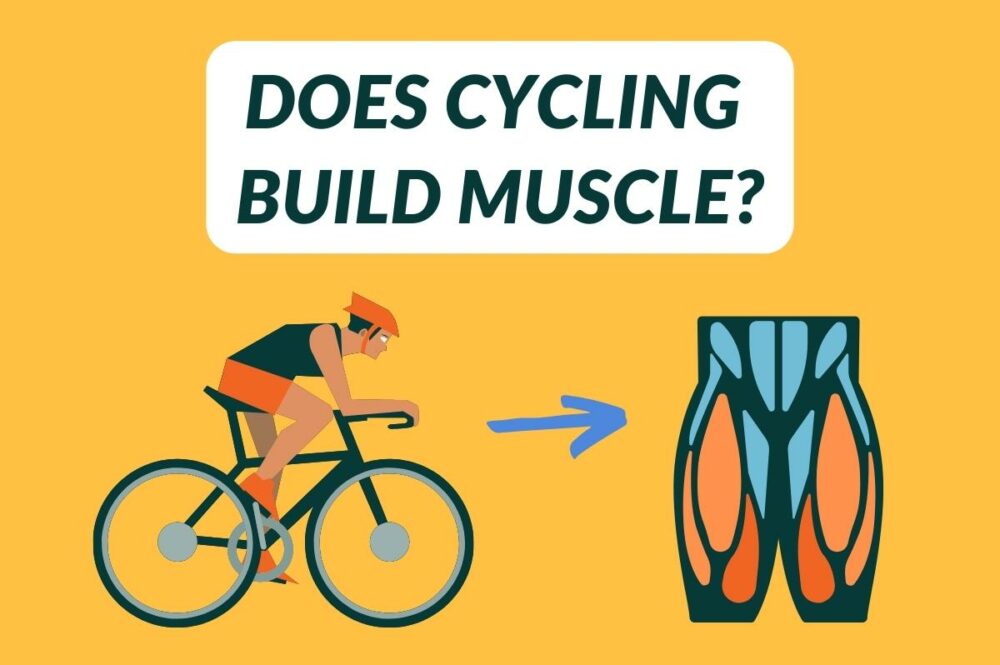 does cycling build muscle