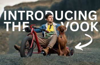 VOOK e-trike outdoors with rider and dog