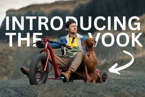 VOOK e-trike outdoors with rider and dog