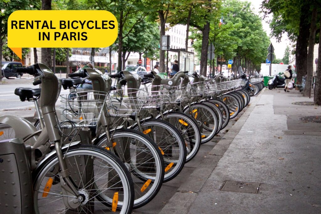 Rental bicycles in Paris