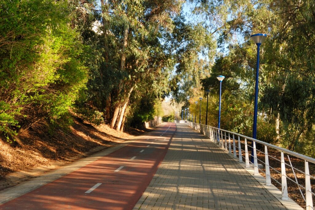 bike lane in seville