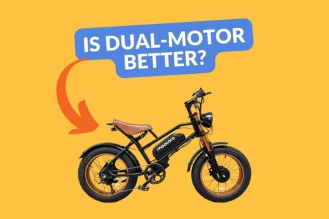 dual-moto e-bike