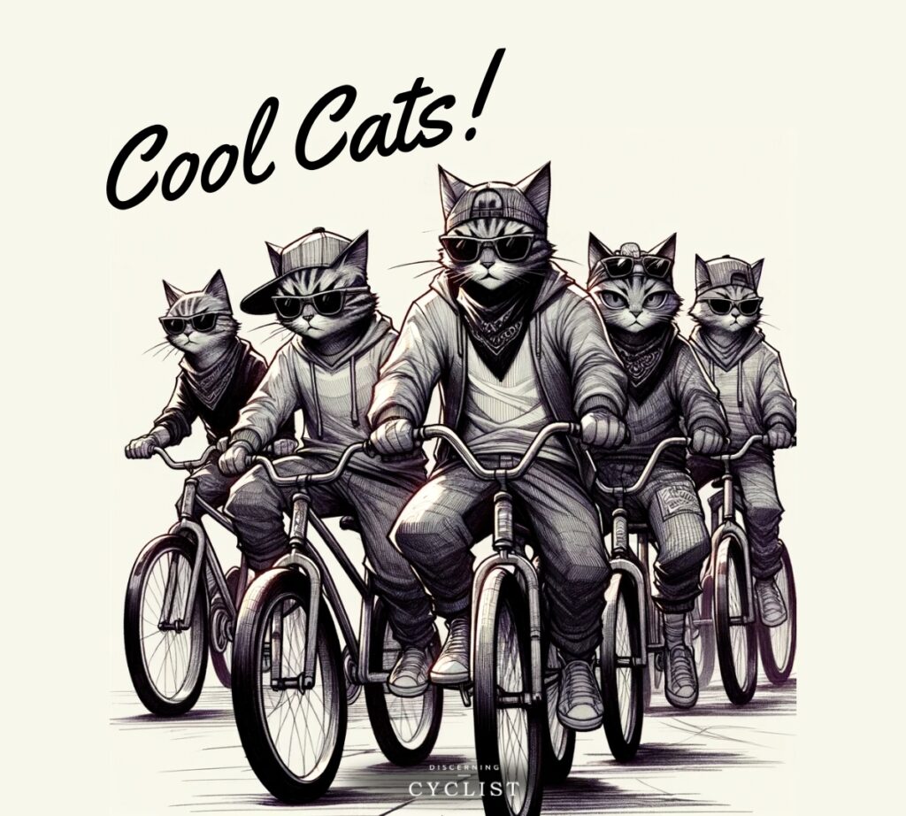 Cool cats cycling meme