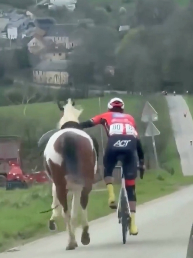 Quick-Thinking Cyclist Catches Runaway Horse