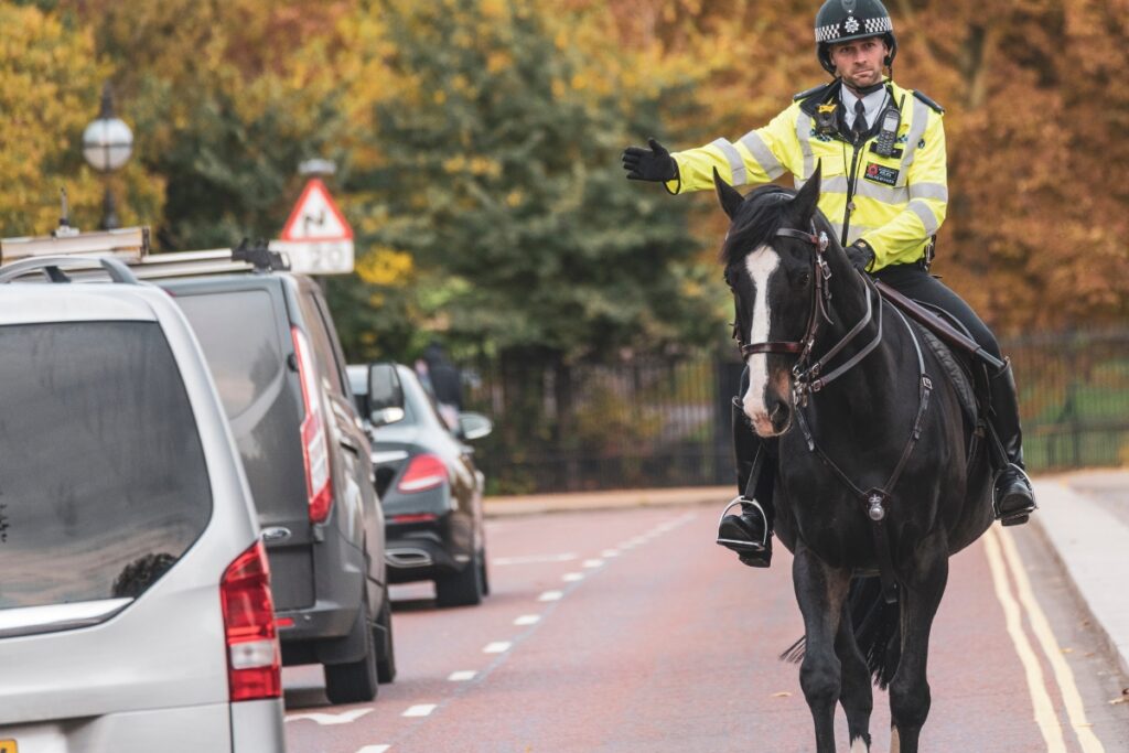Law enforcement on a horse in london